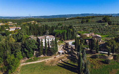 Villa Staggia: Boom, Landschap, Struik, Landgoed, Herenhuis, Landscaping, Evergreen, Plantage