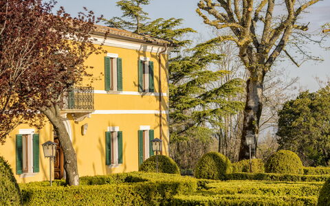 Villa Pianoia: Fabriek, Lucht, Eigendom, Gebouw, Venster, Boom, Afdeling, Vegetation, Zonlicht, Geel
