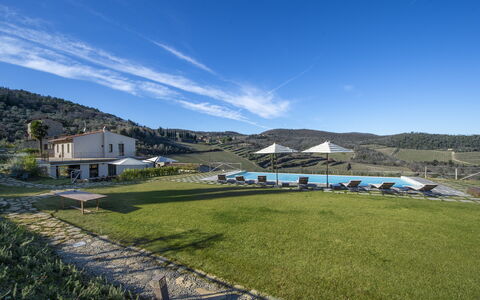 Bella Di Panzano: Lucht, Wolk, Fabriek, Berg, Hoogland, Land Lot, Gras, Venster, Natuurlijk Landschap, Grasland