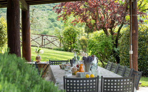 Villa Castelluccio - Arezzo, Toscana: Fabriek, Plantkunde, Natuur, Tafel, Verlichting, Architectuur, Boom, Schaduw, Gras, Biome