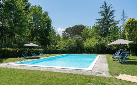 Villa Le Selve: Fabriek, Eigendom, Lucht, Water, Zwembad, Schaduw, Boom, Gebouw, Land Lot, Gras