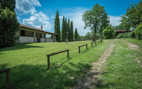 Borgo La Casina - Badia Agnano, Toscana: Wolk, Lucht, Fabriek, Eigendom, Natuurlijk Landschap, Boom, Land Lot, Zonlicht, Hek, Landschap