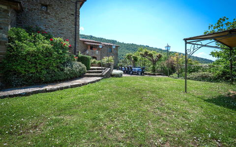 Colle Degli Ulivi - Cortona, Pool, Nature, Privacy: Fabriek, Lucht, Eigendom, Gebouw, Blad, Land Lot, Vegetation, Natuurlijk Landschap, Biome, Gras
