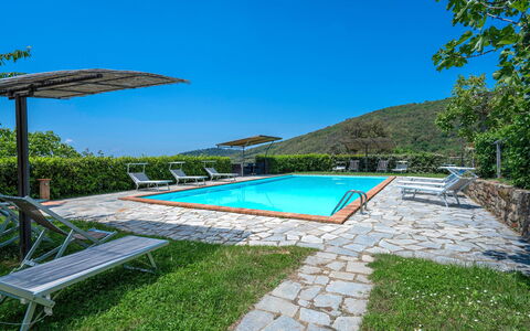 Colle Degli Ulivi - Cortona, Pool, Nature, Privacy: Water, Lucht, Fabriek, Zwembad, Paraplu, Buitenmeubels, Gebouw, Schaduw, Rechthoek, Boom