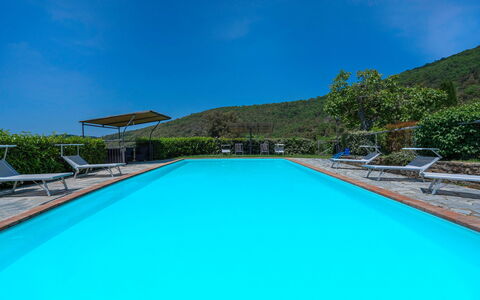 Colle Degli Ulivi - Cortona, Pool, Nature, Privacy: Water, Lucht, Fabriek, Zwembad, Azure, Rechthoek, Gebouw, Schaduw, Huis, Boom