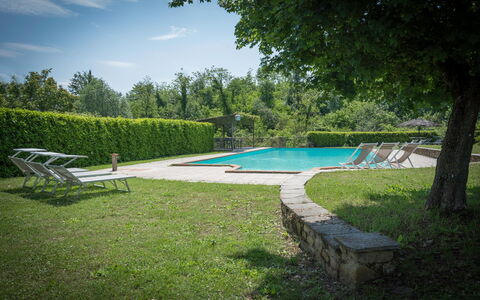 Fonte Nuova - Badia Agnano, Toscana: Water, Fabriek, Lucht, Zwembad, Azure, Boom, Schaduw, Wolk, Buitenmeubels, Gras