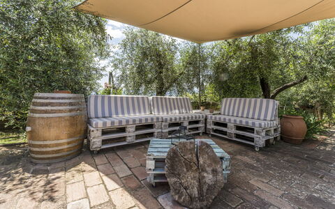 Casa Anita - Castellina In Chianti - Granaio, Tosc: Eigendom, Fabriek, Tafel, Vat, Hout, Boom, Buitenmeubels, Gras, Schaduw, Muur