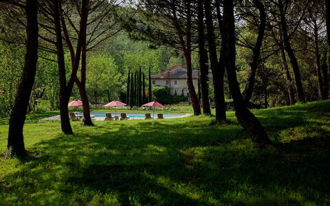 Villa Dell'abate: Fabriek, Natuurlijk Landschap, Schaduw, Plantkunde, Boom, Afdeling, Vegetation, Zonlicht, Land Lot, Gras