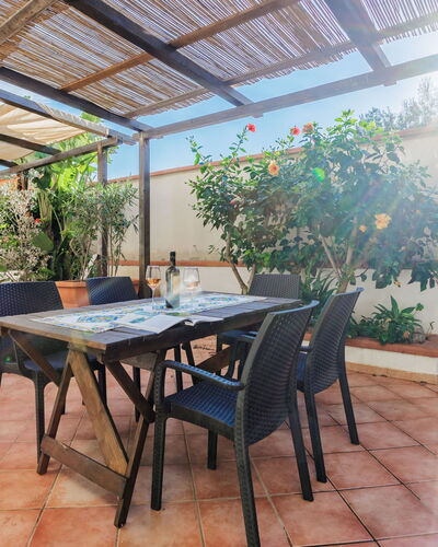 Tre Stelle Gaia: Tafel, Fabriek, Meubilair, Stoel, Bloempot, Gebouw, Hout, Interieur Ontwerp, Kamerplant, Schaduw