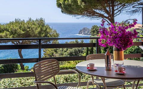 Argentarola House, Porto Santo Stefano, Seaview An: Bloem, Fabriek, Tafel, Lucht, Meubilair, Eigendom, Bloempot, Natuur, Stoel, Gebouw