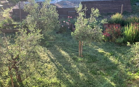 Alice - Podere Ribatti - Casole D'elsa, Toscana: Fabriek, Plantengemeenschap, Natuurlijk Landschap, Boom, Land Lot, Venster, Gras, Voertuig, Grasland, Groundcover