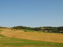 Alice - Podere Ribatti - Casole D'elsa, Toscana