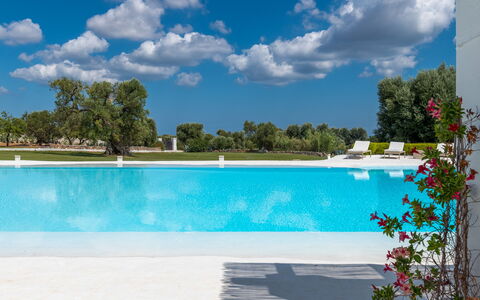 Masseria Isaia: Water, Lucht, Wolk, Fabriek, Eigendom, Zwembad, Blauw, Azure, Boom, Buitenmeubels