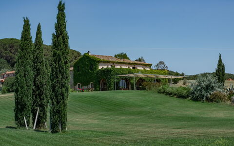 Villa Bagnoli: Lucht, Fabriek, Natuurlijk Landschap, Land Lot, Gras, Lariks, Boom, Evergreen, Landschap, Grassenfamilie