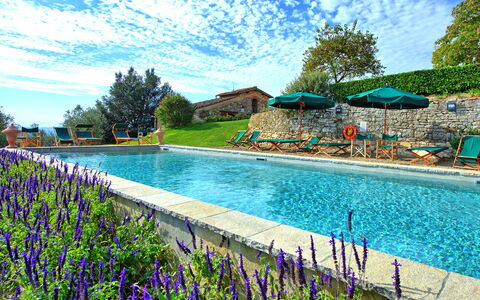 Villa Cona: Water, Wolk, Lucht, Bloem, Fabriek, Zwembad, Natuur, Azure, Boom, Natuurlijk Landschap