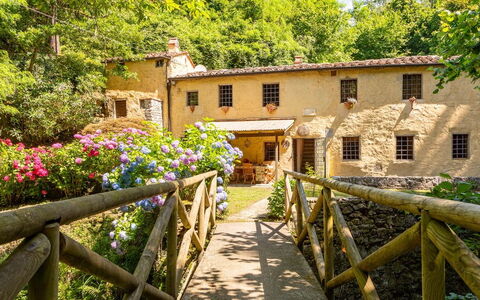 Molin Barletta, Private Pool, Nature - Marliana, T: Fabriek, Bloem, Gebouw, Venster, Eigendom, Boom, Hout, Hek, Huis, Geel