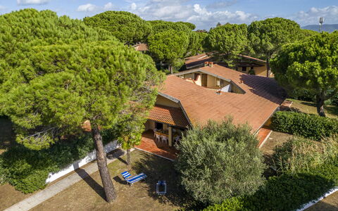 Argentario Giannella Apartment- Orbetello, Toscana: Wolk, Fabriek, Eigendom, Gebouw, Lucht, Plantengemeenschap, Boom, Venster, Vegetation, Architectuur