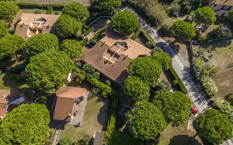 Argentario Giannella Apartment- Orbetello, Toscana: Fabriek, Eigendom, Natuur, Land Lot, Vegetation, Gras, Stedelijk Ontwerp, Buurt, Woongebied, Struik