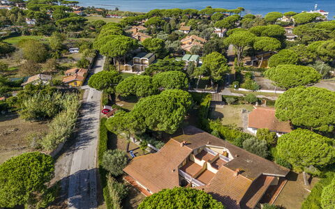 Argentario Giannella Apartment- Orbetello, Toscana: Fabriek, Water, Vegetation, Boom, Land Lot, Stedelijk Ontwerp, Biome, Gras, Natuurlijk Landschap, Buurt