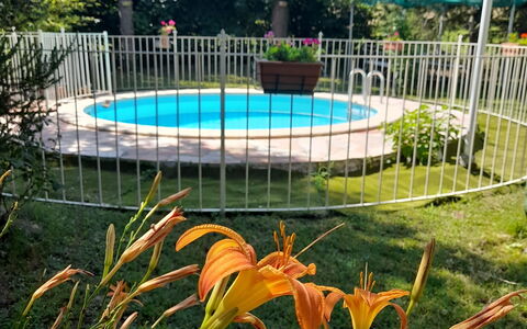 Podere Vallino: Fabriek, Bloem, Water, Plantkunde, Natuur, Boom, Hek, Gras, Schaduw, Zwembad