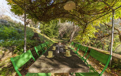 La Casa Dei Limoni, Camaiore, Pet Friendly, Wifi: Fabriek, Plantengemeenschap, Groen, Natuurlijk Landschap, Plantendiversiteit, Boom, Gras, Schaduw, Woody Plant, Vrije Tijd