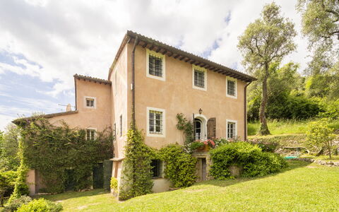 La Casa Dei Limoni, Camaiore, Pet Friendly, Wifi: Boom, Gras, Huis, Struik, Huis, Landelijk Gebied, Verblijf, Landschap, Land Lot