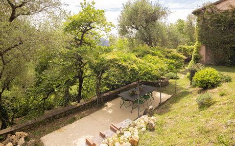 La Casa Dei Limoni, Camaiore, Pet Friendly, Wifi: Blad, Vegetation, Struik, Tuin, Plantengemeenschap, Landelijk Gebied, De Lente, Backyard, Landscaping