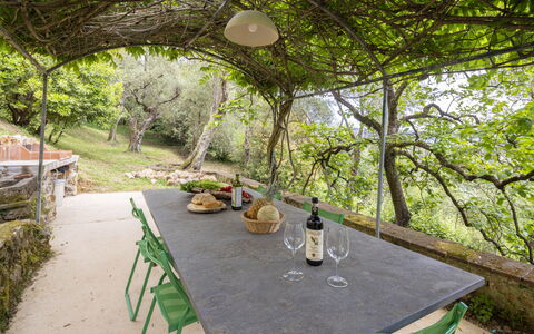 La Casa Dei Limoni, Camaiore, Pet Friendly, Wifi: Meubilair, Buitentafel, Buitenmeubels, Tuin, Zonlicht, Schaduw, Stoel, Keuken En Eettafel, Backyard