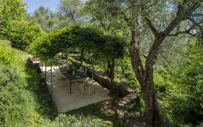 La Casa dei Limoni, Camaiore, Pet Friendly, Wifi - Camaiore, Toscane, Italië