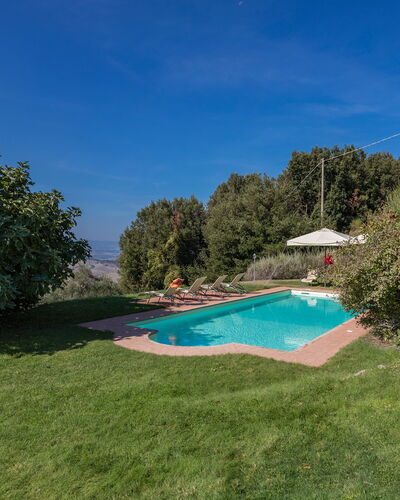 Villa Belvedere: Lucht, Fabriek, Water, Natuurlijk Landschap, Boom, Land Lot, Zwembad, Schaduw, Gras, Landschap