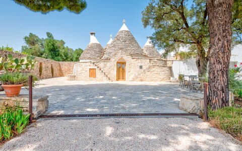 Villa Del Capitolo Con Trullo: Lucht, Fabriek, Bloempot, Boom, Weg Oppervlak, Deur, Landelijk Gebied, Landschap, Gras, Facade