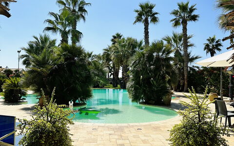 Villa Rosarno: Fabriek, Water, Lucht, Bloempot, Boom, Azure, Zwembad, Arecales, Vegetation, Vrije Tijd