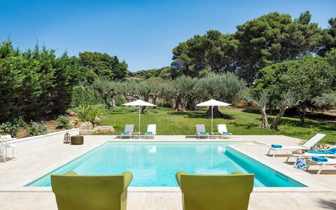 Casa Fiore - Salemi, Sicilia: Water, Fabriek, Lucht, Eigendom, Meubilair, Zwembad, Azure, Boom, Buitenmeubels, Stoel