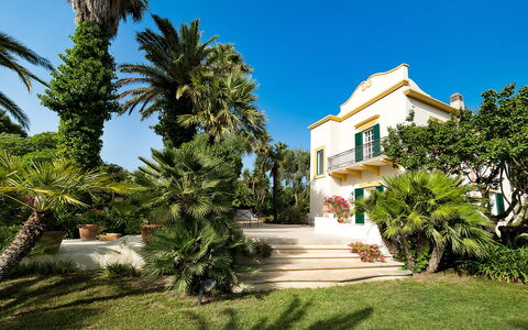 Casa Fiore - Salemi, Sicilia: Lucht, Fabriek, Gebouw, Boom, Venster, Arecales, Woongebied, Landschap, Facade, Stedelijk Ontwerp