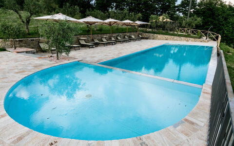 Villa Niccione: Water, Fabriek, Zwembad, Azure, Boom, Rechthoek, Schaduw, Aqua, Samengesteld Materiaal, Vrije Tijd