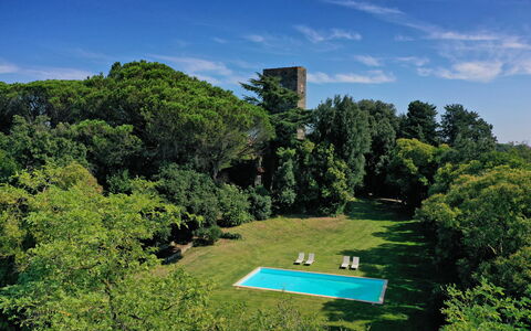 Torre Delle Cornacchie: Wolk, Lucht, Eigendom, Groen, Fabriek, Natuurlijk Landschap, Plantkunde, Land Lot, Boom, Gras
