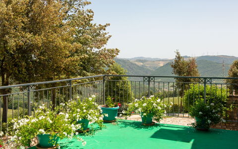 Villa Trivigno: Groen, De Lente, Bloempot, Tuin, Stoel, Hek, Schaduw, Balkon, Buitenmeubels, Kamerplant
