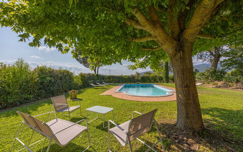 Villa Marconi: Fabriek, Plantengemeenschap, Meubilair, Tafel, Boom, Schaduw, Buitenmeubels, Land Lot, Vegetation, Stoel