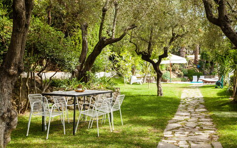 Villa Il Sole Di Sorrento: Fabriek, Meubilair, Tafel, Boom, Afdeling, Natuurlijk Landschap, Schaduw, Stoel, Gras, Buitenmeubels