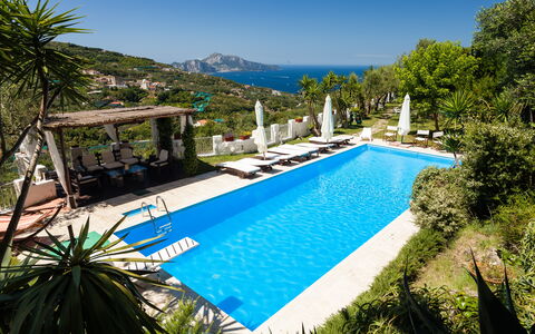 Villa Il Sole Di Sorrento: Water, Fabriek, Lucht, Eigendom, Zwembad, Azure, Boom, Plantkunde, Vegetation, Arecales