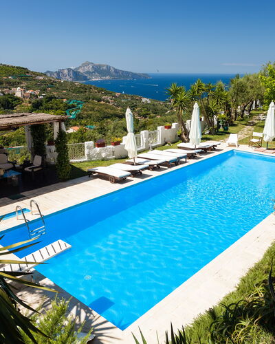 Villa Il Sole Di Sorrento: Water, Fabriek, Lucht, Eigendom, Zwembad, Azure, Boom, Plantkunde, Vegetation, Arecales