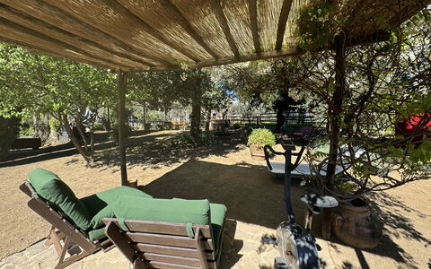 Il Cantuccio: Fabriek, Natuur, Openluchtbank, Blad, Schaduw, Buitenmeubels, Plantkunde, Biome, Vrije Tijd, Boom