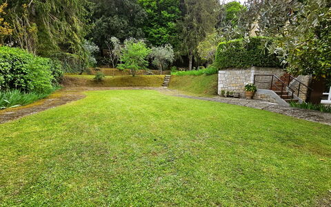 La Piccola Rocca: Fabriek, Eigendom, Groen, Boom, Natuurlijk Landschap, Land Lot, Gras, Vegetation, Struik, Landschap