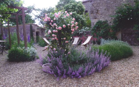Casa Di Pietro In Vivo D'orcia, Pool: Bloem, Struik, Tuin, Roze, Groundcover, Purper, Bloeiende Plant, Landscaping, Werf, Backyard