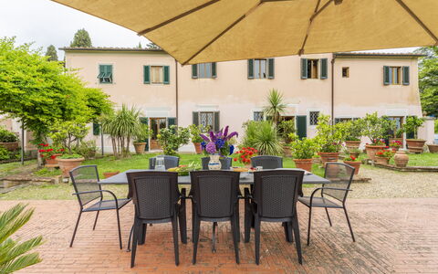 Villa Montegattoli, Pool, Landscape, Wifi, Ac: Fabriek, Tafel, Meubilair, Venster, Gebouw, Stoel, Buitenmeubels, Boom, Buitentafel, Geel