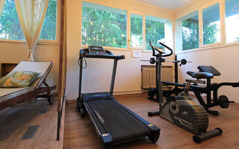 Provenzale Apartment, Garda Lake, Jacuzzi, Fitness: Eigendom, Oefeningsmachine, Venster, Hout, Interieur Ontwerp, Verdieping, Flooring, Hardwood, Oefen Materiaal