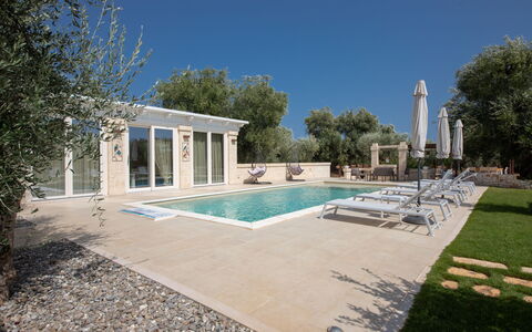 Terra Mater: Zwembad, Woongebied, Samengesteld Materiaal, Landgoed, Buitenmeubels, Schaduw, Villa, Toevlucht, Landscaping, Hacienda