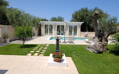 Terra Mater: Woongebied, Tuin, Landgoed, Landscaping, Binnenplaats, Beton, Hacienda, Gazon, Werf, Schaduw