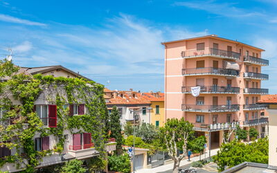 San Vincenzo 240