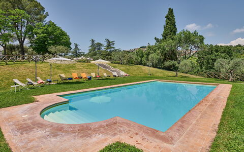 Villa Conte Jacopo: Water, Eigendom, Lucht, Zwembad, Natuur, Boom, Schaduw, Rechthoek, Fabriek, Gras